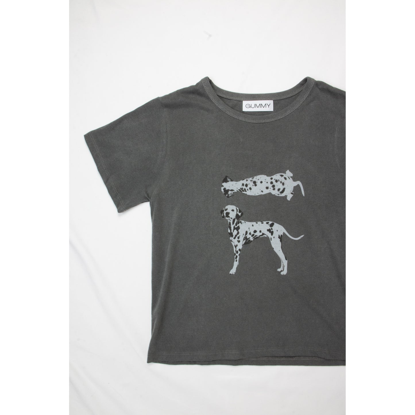 101 Spotty Photo Tee（RED）